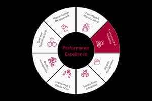 implementation-performance excellence